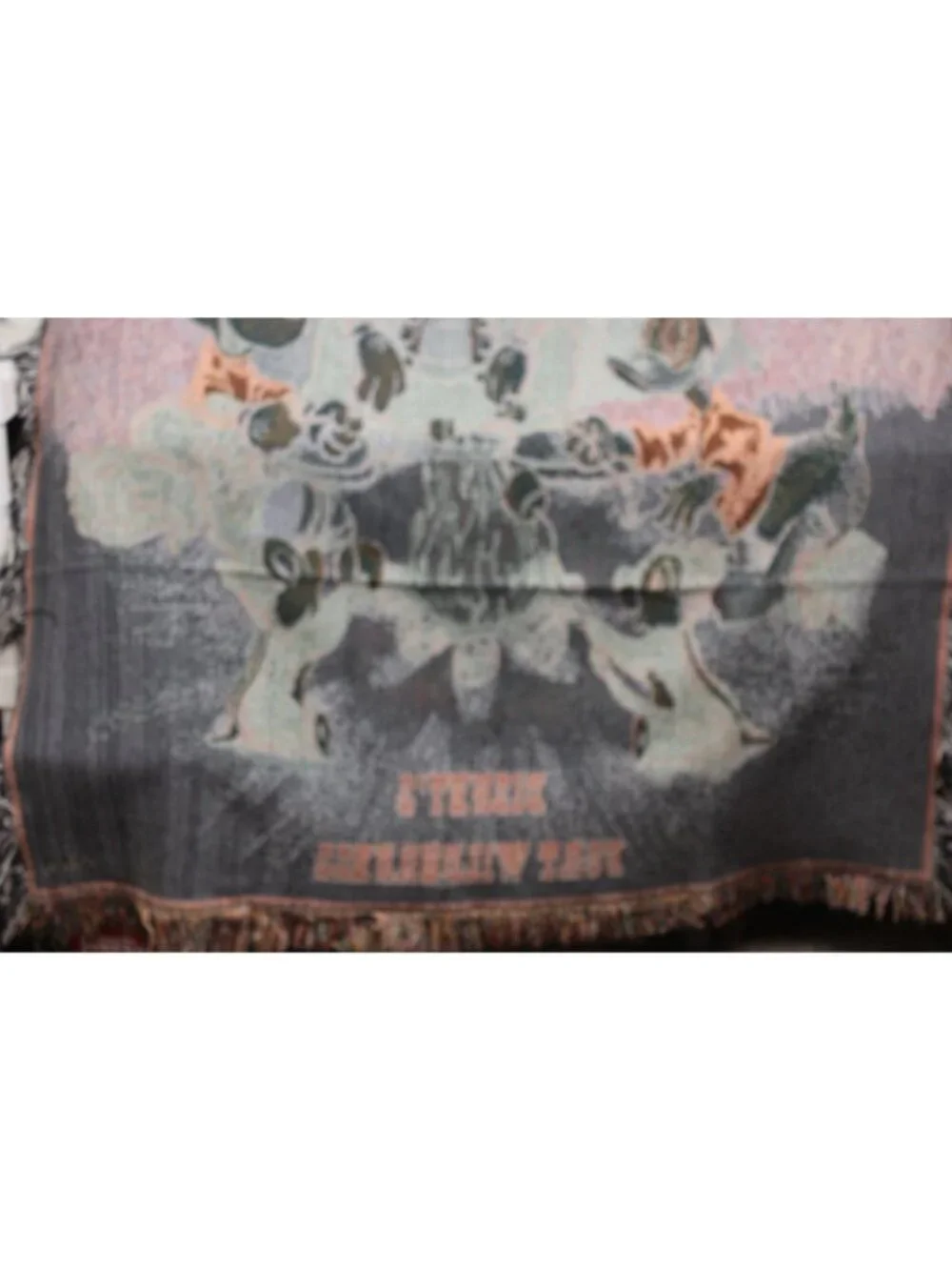 Disney tapestry blanket